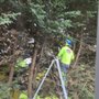 Photo of Honest Arborist