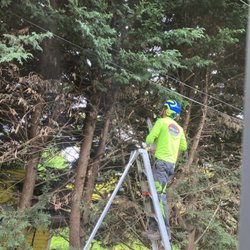 Honest Arborist - I wasn't able to get the really high up angle. Imagine looking up and seeing a man strapped to a tree