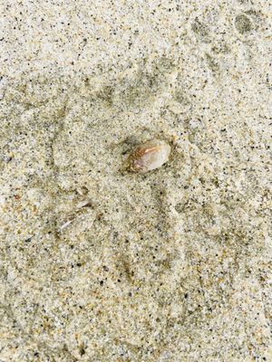 1000 Steps Beach by null