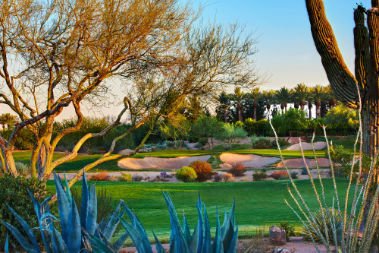 JW Marriott Phoenix Desert Ridge Resort & Spa by null