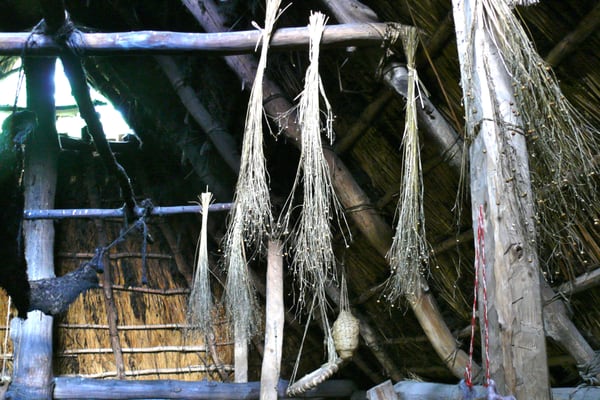 Vitlycke Museum by null