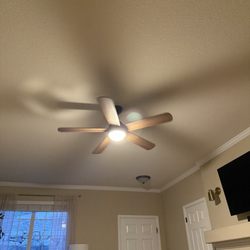Mountain Minds Home Maintenance - Installed a new fan.