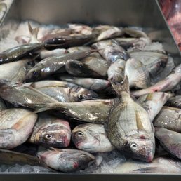 THE NEW FULTON FISH MARKET - Updated February 2026 - 116 Photos