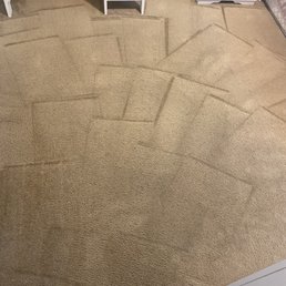 Carpet cleaning