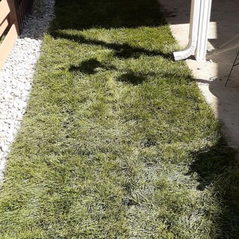 Patriot Landscape Construction - Sod installation - Landscaping Near Me