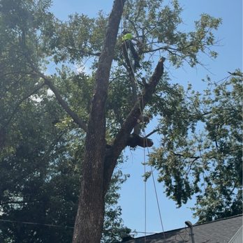 H&M Tree Services - Caleb Hague owner operator - Tree Services Near Me - Elberfeld , Indiana H&M Tree Services - Caleb Hague owner operator - Tree Services Near Me - Elberfeld , Indiana
