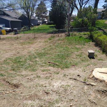 WITT 360 Tree Service - Tree Services Near Me