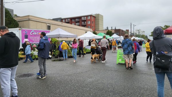 Proctor Farmers' Market by null