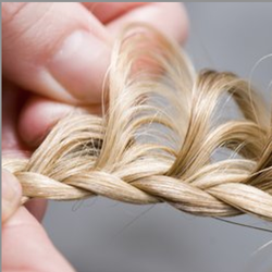 Sharkey's Hair It Is