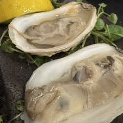 Salt & Rind  - Oysters. omg effing delicious
