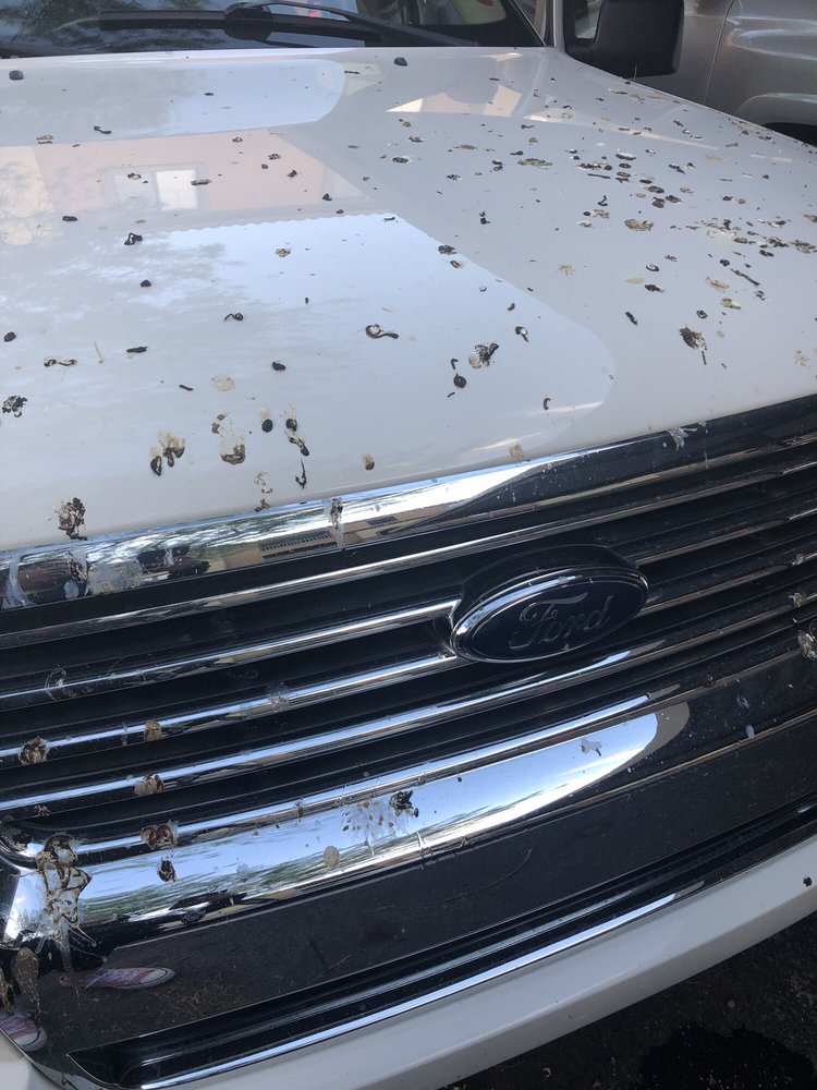 THE METRO AT ZANJERO BY PILLAR COMMUNITIES 9450 W Cabela Dr, Glendale