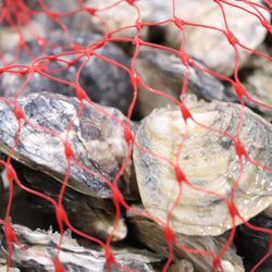 Farmers & Fishermen Purveyors - Our products are sustainably caught and produced