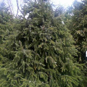 Rogers Spring Hill Farm - Nurseries & Gardening Near Me - Haverhill, Massachusetts