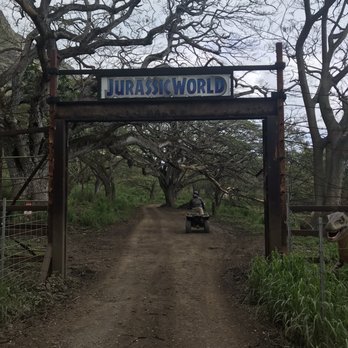 Kualoa Ranch - Tours Near Me - Kaneohe, Hawaii Kualoa Ranch - Tours Near Me - Kaneohe, Hawaii