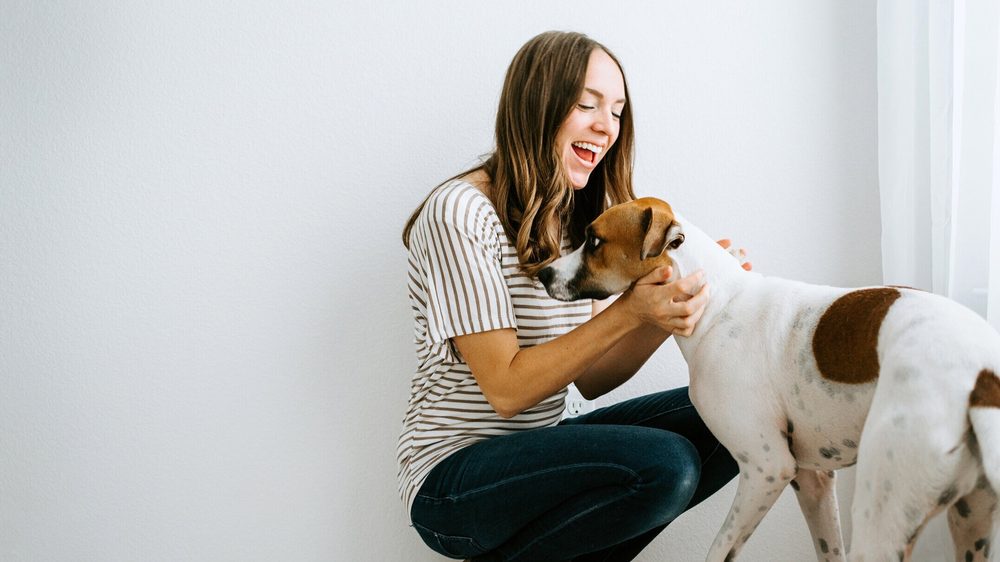 SCENTHOUND OPENING SOON 220 S Main St, Alpharetta, Pet