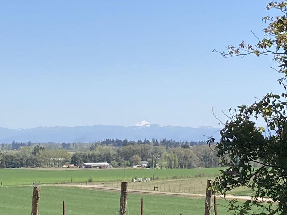 METHVEN FAMILY VINEYARDS Updated September 2024 10 Photos & 23