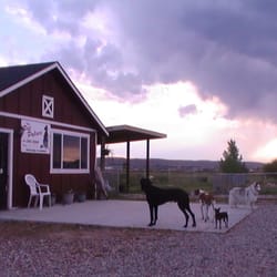 The Pet Palace