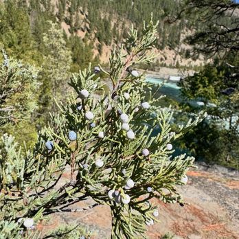 Kootenai Falls - Hiking Near Me - Libby, Montana