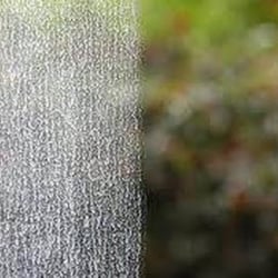 Sunset Window Cleaning & More