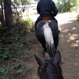 Skunk and Roper