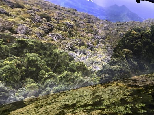 OASIS immersion by null