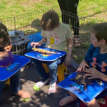 Tiny Tails To You - Petting Zoos Near Me