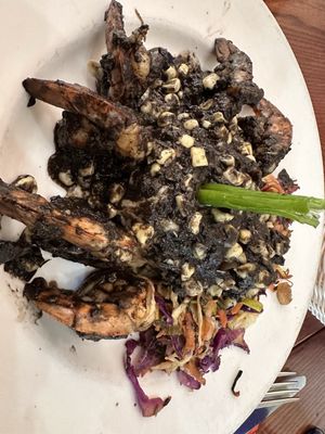 Blue Agave Club by null