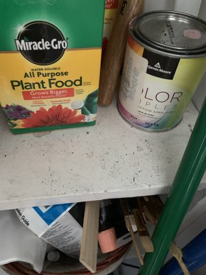 Rainbow Cleaning Service