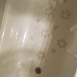 Red Lion Hotel - Disgusting! Shower uncleaned And nasty