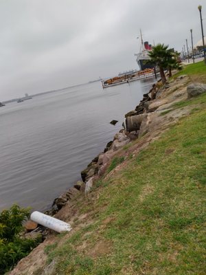 Harry Bridges Memorial Park by null