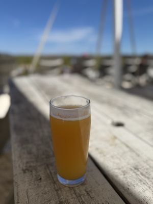 Tree House Brewing - Cape Cod by null