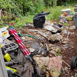 Back Forty Junk Haulers