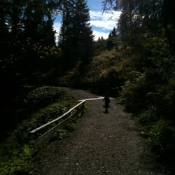 Familienberg Söllereck bei Oberstdorf