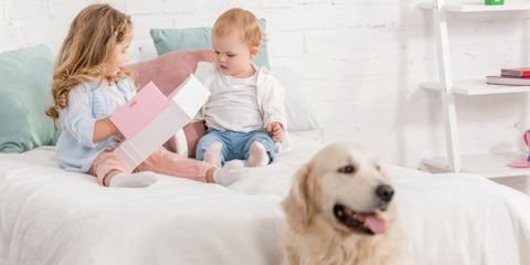 Slide of ABC Heating Cooling & Plumbing