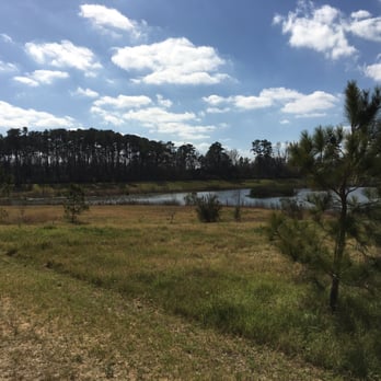 Keith-Wiess Park - Great outdoors to bring your dog. - Parks Near Me - Houston, Texas