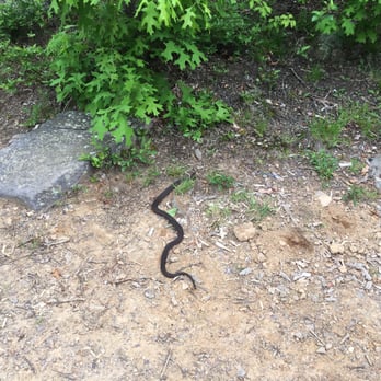 Surprise Lake ll - Snake - Hiking Near Me - West Milford, New Jersey Surprise Lake ll - Snake - Hiking Near Me - West Milford, New Jersey