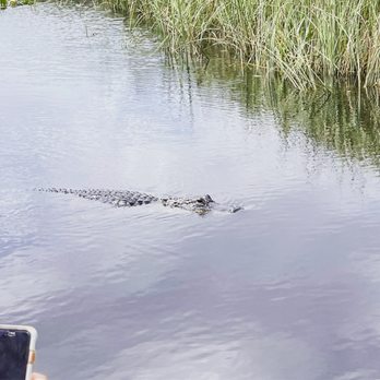gator park - Boat Tours Near Me - Miami, Florida gator park - Boat Tours Near Me - Miami, Florida