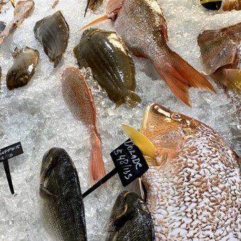 Sails Restaurant - Fresh Fish case - Seafood Near Me - Naples, Florida