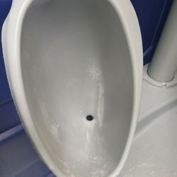 LDR Site Services - Dirty urinal