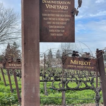 Lodi Wine Visitor Center - a sign for the winery - Wineries Near Me - Lodi, California Lodi Wine Visitor Center - a sign for the winery - Wineries Near Me - Lodi, California