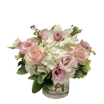 Driftwood Florist - Florists Near Me - Jupiter, Florida Driftwood Florist - Florists Near Me - Jupiter, Florida
