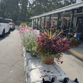 Briermere Farms - Row of planters - Bakeries Near Me - Riverhead, New York