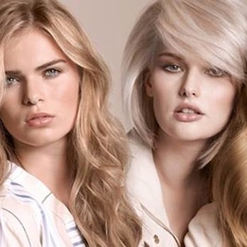 Wild Hair - Hair Salons Near Me - Brockport, New York Wild Hair - Hair Salons Near Me - Brockport, New York