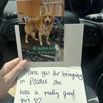 Pet Evolution - Pet Groomers Near Me - Folsom, California