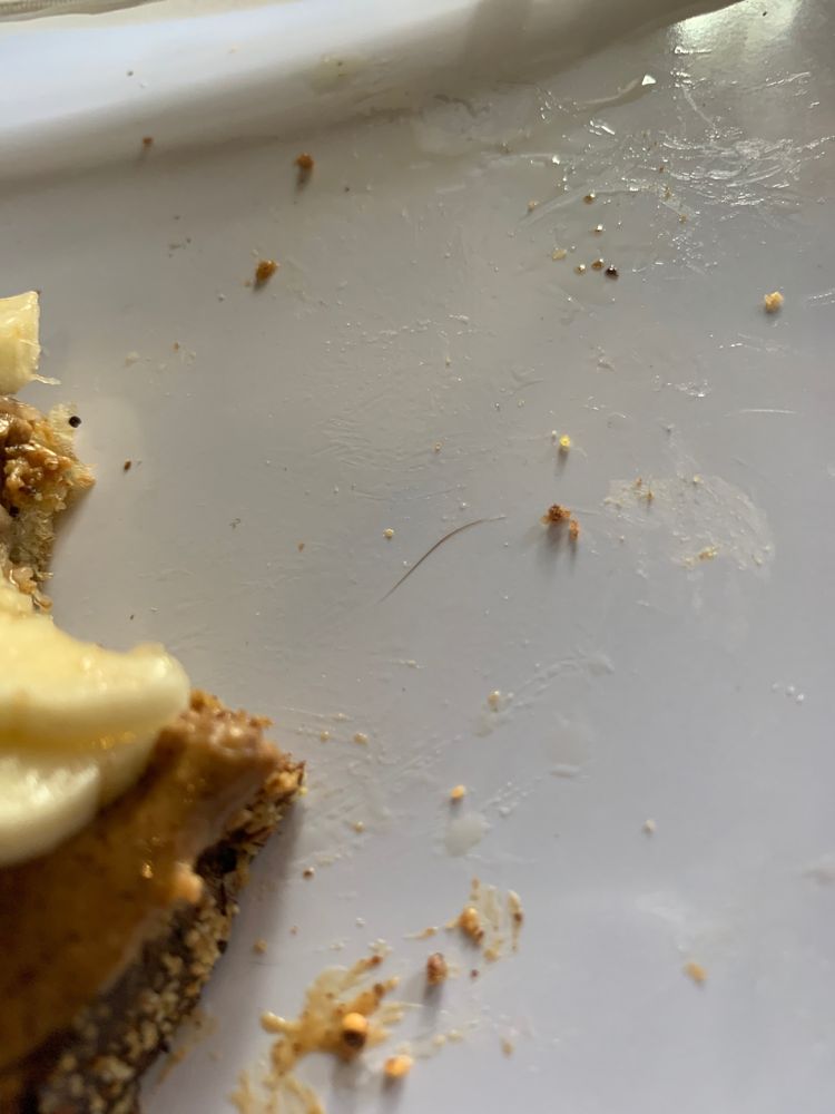 PRESSED COFFEE BAR AND EATERY 74 Photos & 71 Reviews 215 Lincoln