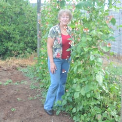 Lily Lane Farm - Loni with her Queen Elizabeth broad beans.