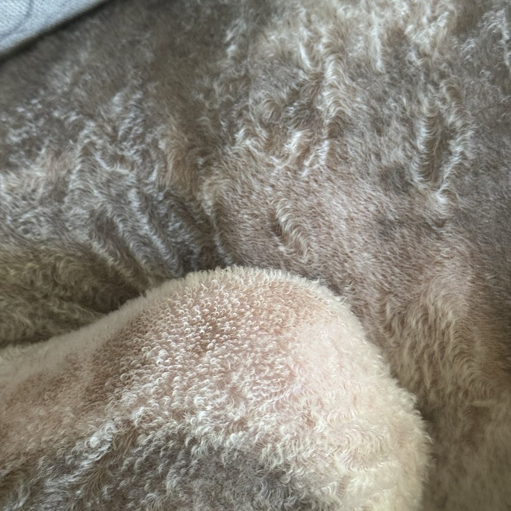 Cali Pets Hotel - The terrible uneven "groom" left my dog so irritated! - Pet Groomers Near Me - Anaheim, California