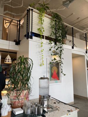 Temple Pastries by null Temple Pastries by null