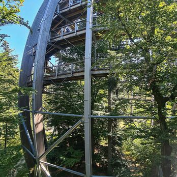 Baumwipfelpfad - Walking Tours Near Me - Neuschönau, BY
