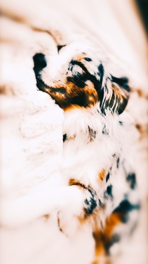 LEARNING EXPRESS TOYS Updated October 2024 10 Reviews 120 Regency